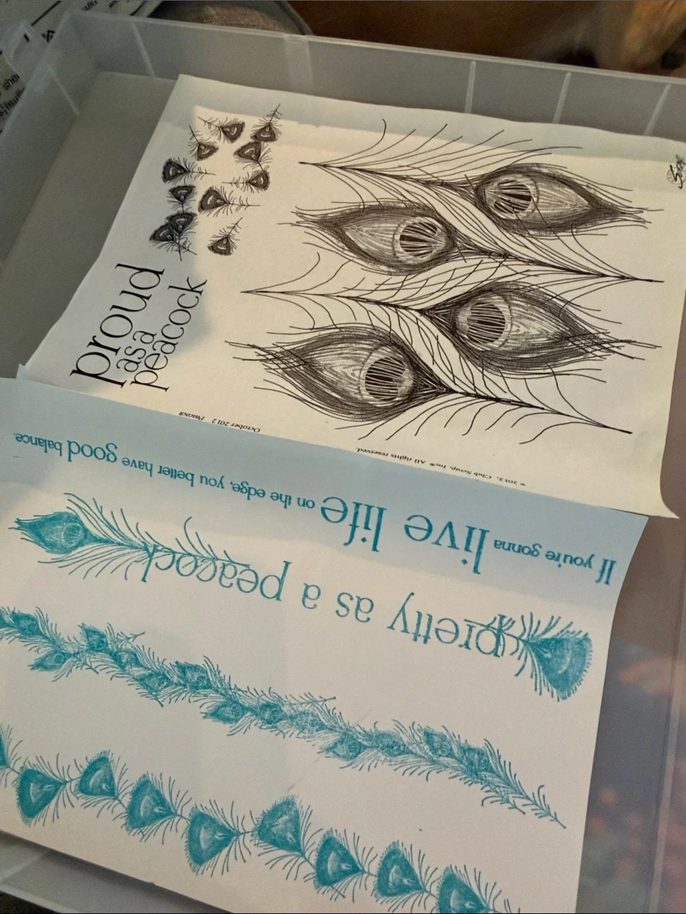 Set of 7  Peacock Feather and Script Stamps in a plastic binder by Club scrap